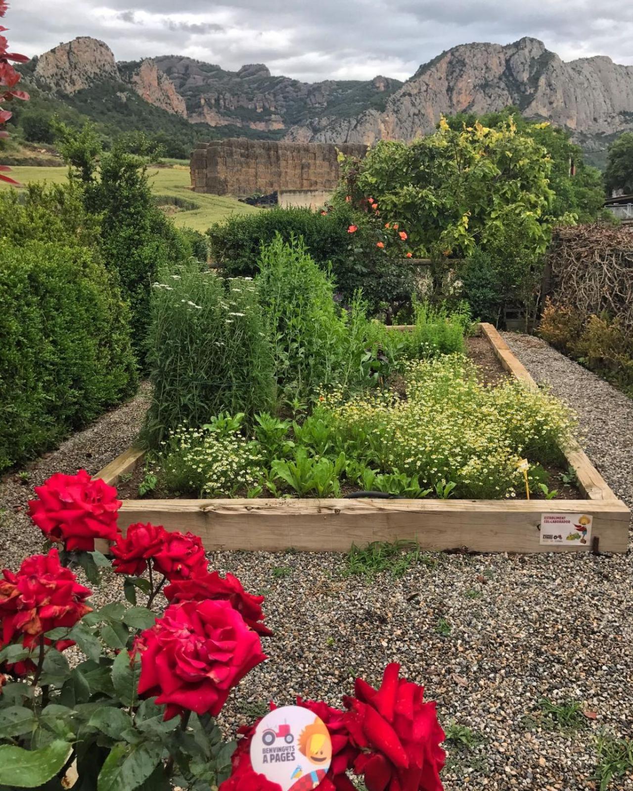 Cal Servero Peramola Buitenkant foto
